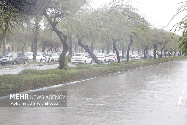بارندگی و آبگرفتگی معابر در بوشهر، شدت بارندگی، بارش ، باران