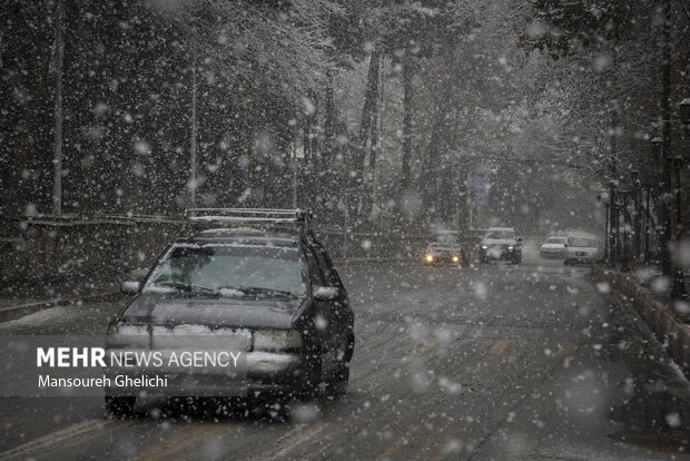 چتر سفید زمستان بر سر مازندران/ کابوس باغداران تکرار می شود؟