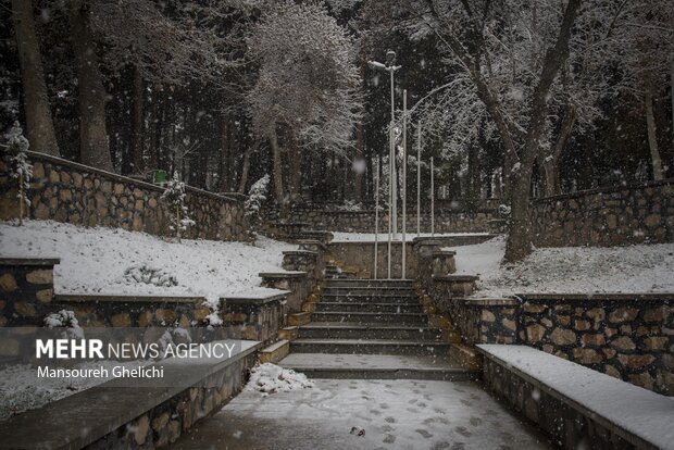 بارش برف در استان سمنان . شاهرود .