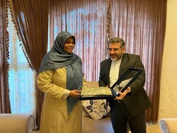 Iran, Libya discuss expansion of cultural cooperation