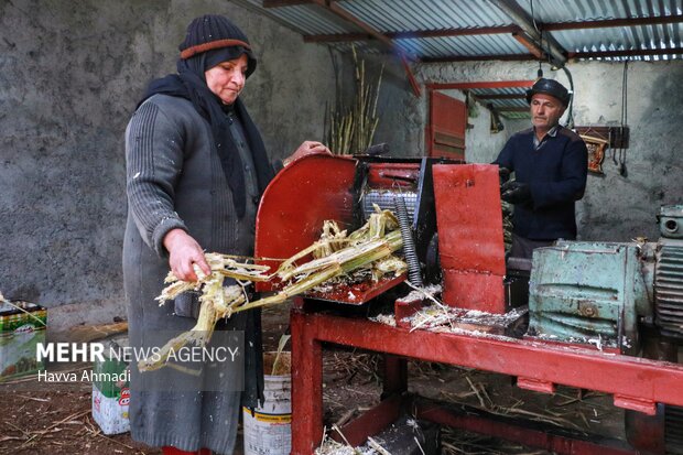 کام شیرین زمستانه با شکر سرخ 16