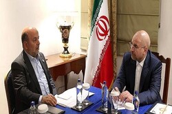 Iran parl. speaker meets APA sec.-gen. in Turkey