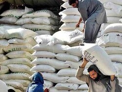 روس سے گندم کی پہلی کھیپ پاکستان پہنچ گئی