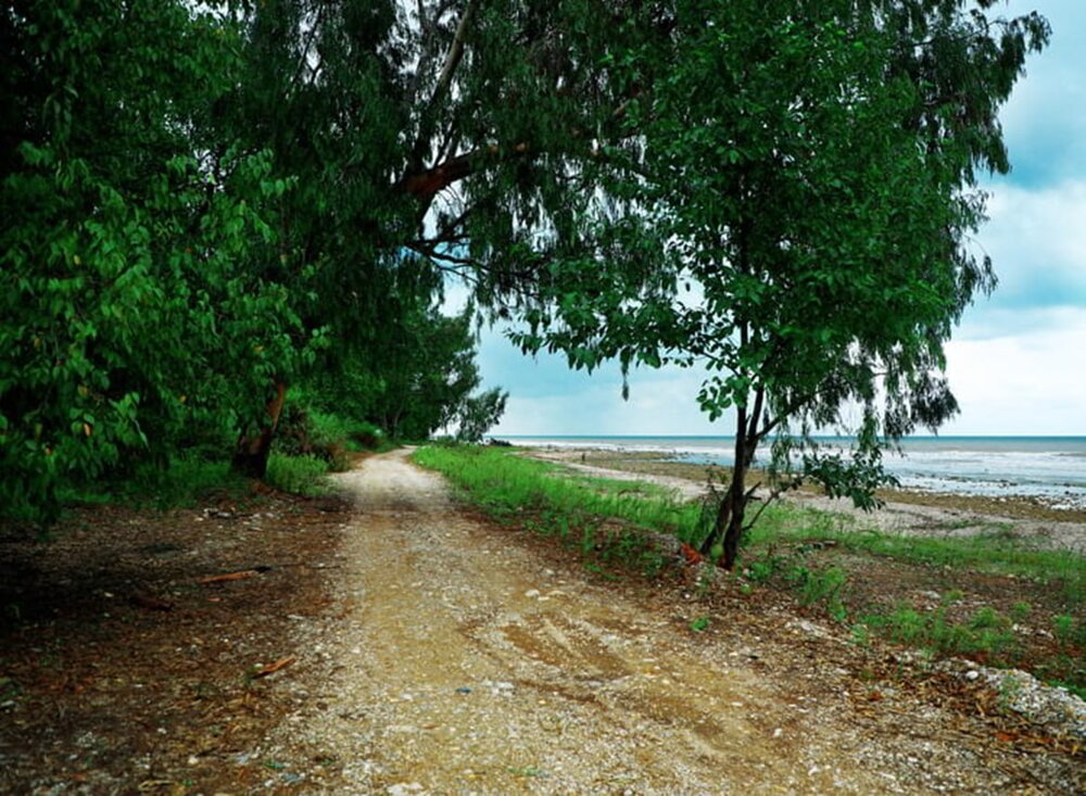 بازدید از جاذبههای شگفت انگیز ایران