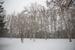 هوای استان سمنان سردتر می‌شود/ برف در مناطق مرتفع