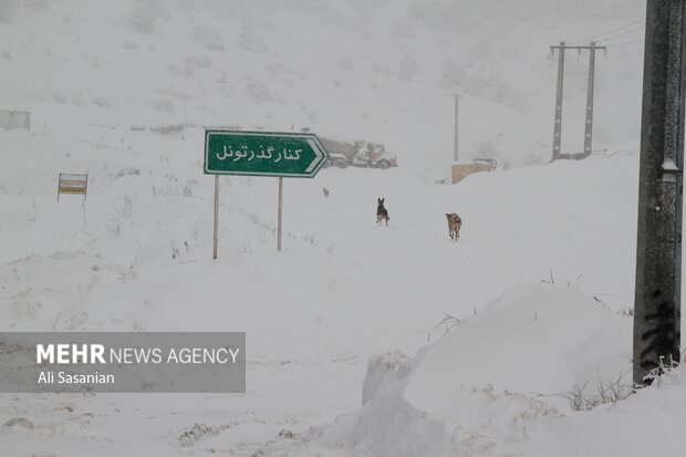 بارش برف در گردنه حیران آستارا