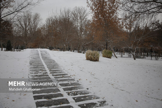 بارش باران و برف در استانها/ ادارات و مدارس کدام شهرها تعطیل شد؟