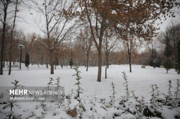 بارش باران و برف استان زنجان را فرا می گیرد