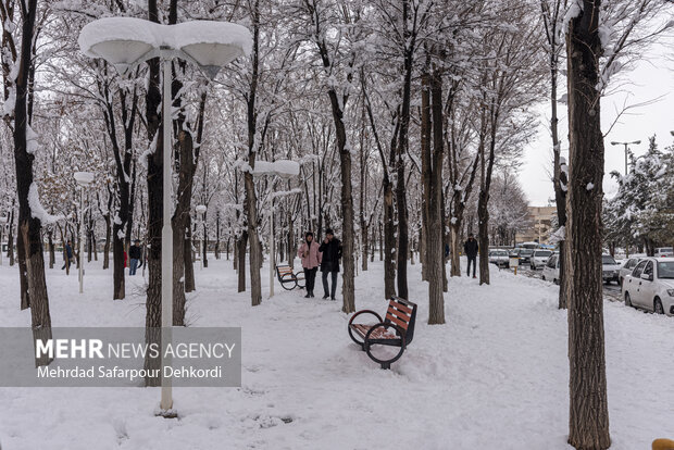 بارش باران و برف در استانها/ ادارات و مدارس کدام شهرها تعطیل شد؟