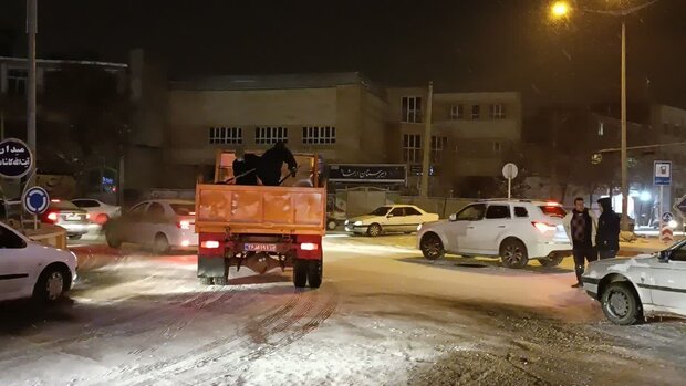 29 اکیپ شهرداری تربت حیدریه در حال برف روبی و نمک پاشی هستند