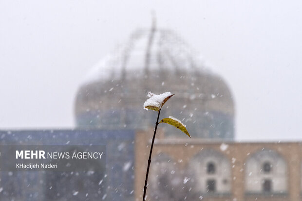 Snowfall brings joy to Iranian cities 