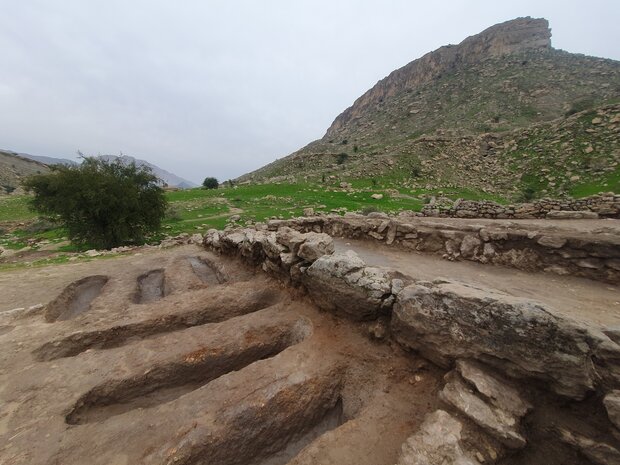 تعیین بودجه وزارت میراث فرهنگی / برنامهریزی برای حراج سفر 7