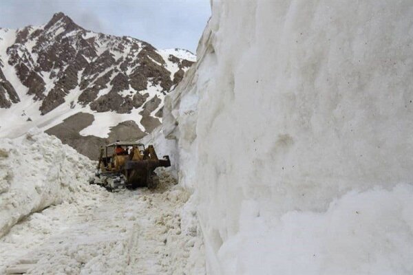 Snowfall brings joy to Iranian cities 