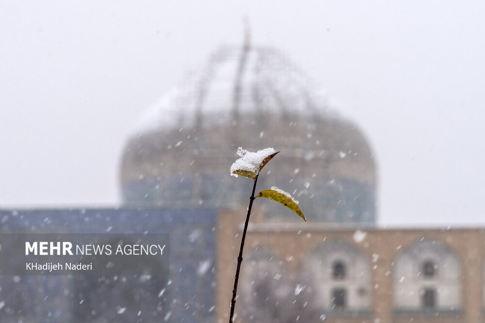 Snowfall Brings Joy To Iranian Cities Mehr News Agency   4390163 