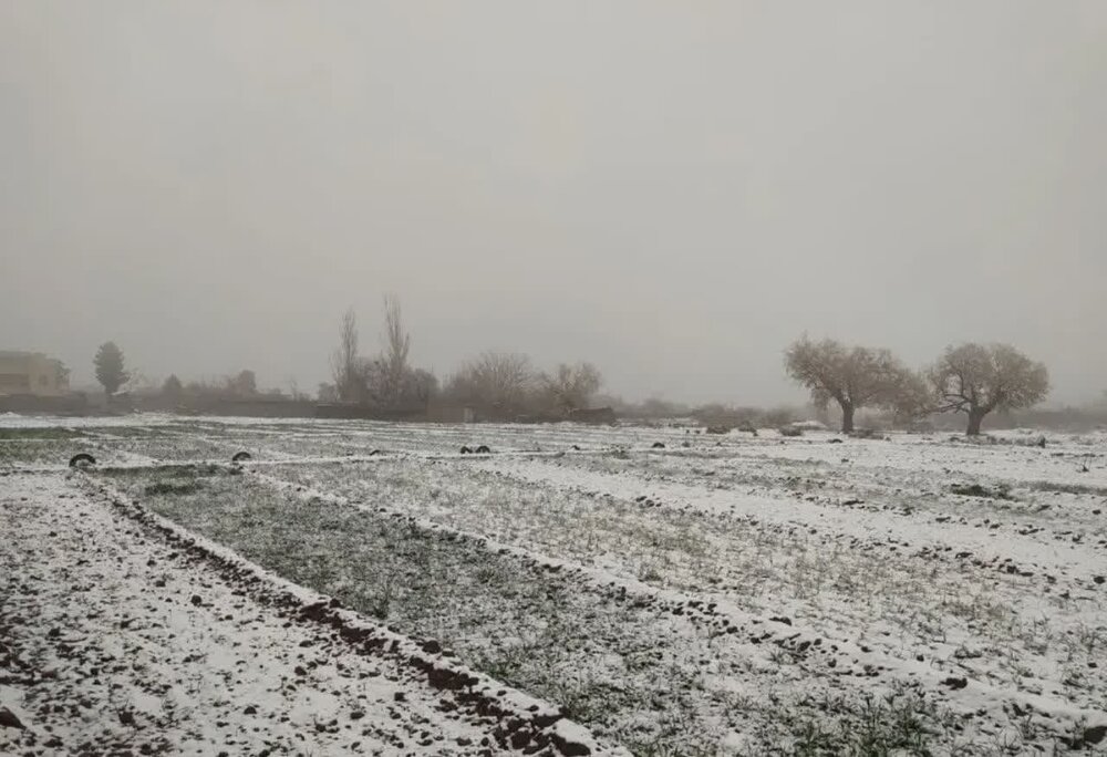 بارش ۸ سانتیمتر برف در شهرستان اردستان