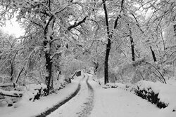 Picturesque nature of Iran in winter