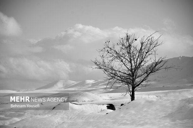 فصل رویایی زمستان