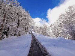 هواشناسی گیلان ۵ اسفند؛ برف و کولاک در راه است