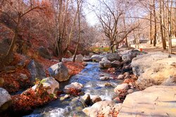 Beauties of Sahneh County in Kermanshah