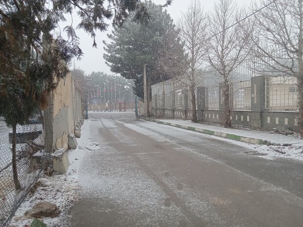 آغاز بارش برف در شهر کرمانشاه