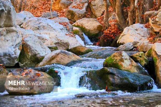 Beauties of Sahneh county in Kermanshah 