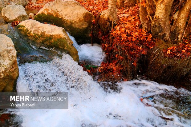 Beauties of Sahneh county in Kermanshah 