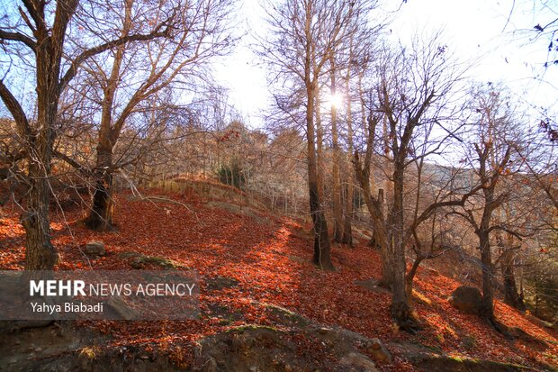 طبیعت زیبای سراب دربند صحنه