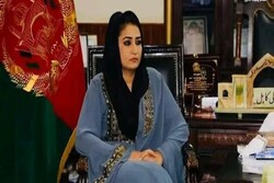 Former Afghan MP Nabizada killed by unidentified gunmen