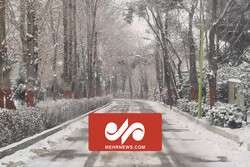 Tahran'da kar yağışı etkili oldu