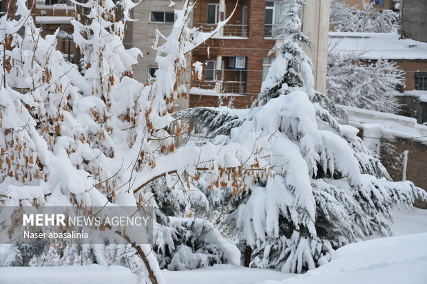 طهران تکتسي باللون الابیض بعد أن غطتها الثلوج +فيديو