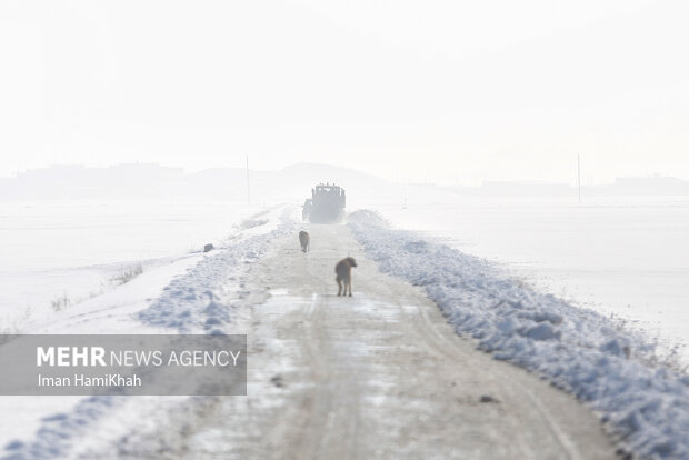 بازگشایی محور اسدآباد