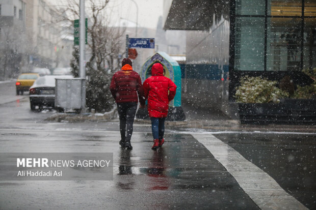 Snowfall in Tehran