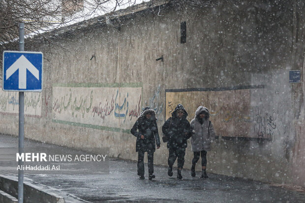 Snowfall in Tehran