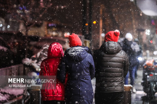 Snowfall in Tehran