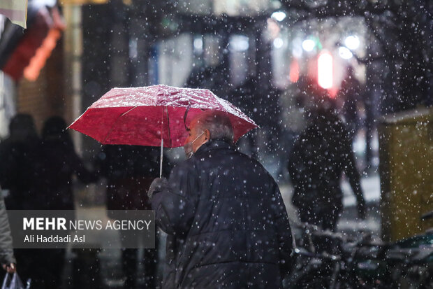 Snowfall in Tehran