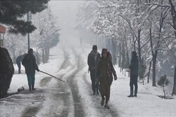 سرمای شدید در افغانستان/ ۲۴ نفر جان باختند