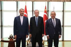 امیرعبداللهیان با رئیس جمهور ترکیه دیدار کرد