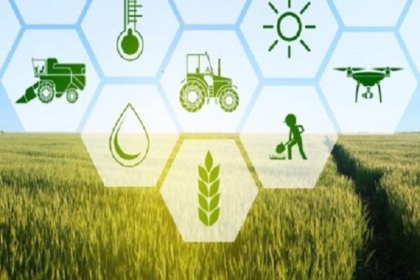 پرداخت هزار میلیارد تومان غرامت به کشاورزان خسارت دیده کشور