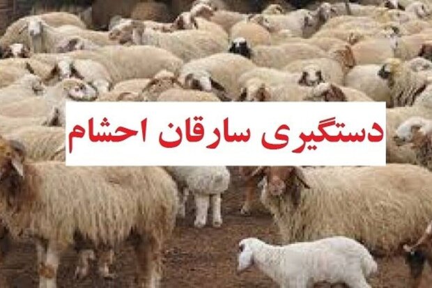 باند سارقین احشام در بوشهر منهدم شد باند سارقین احشام در بوشهر منهدم شد