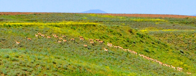 تفرجگاه های زنجان فرصت بی بدیل برای گردشگری