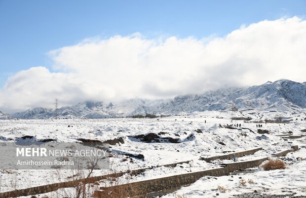 بارش برف در مناطق مختلف استان کرمان