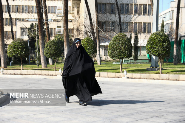 حاشیه جلسه هیئت دولت