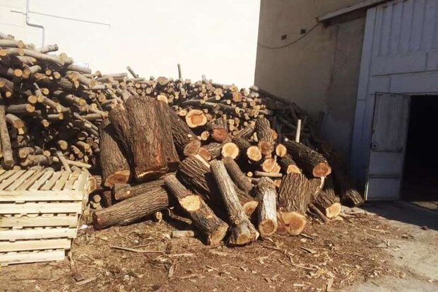 کشف ۱۳۶ تن چوب قاچاق در کارگاه‌های چوب بری