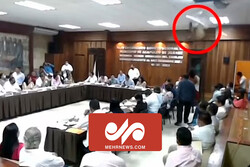 لحظه سقوط ۲ حیوان به سالن کنفرانس شورای شهری در مکزیک