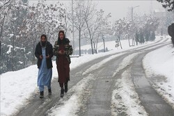 افغانستان میں گزشتہ 2 ہفتوں میں برف باری اور سردی سے 157 افراد جانبحق