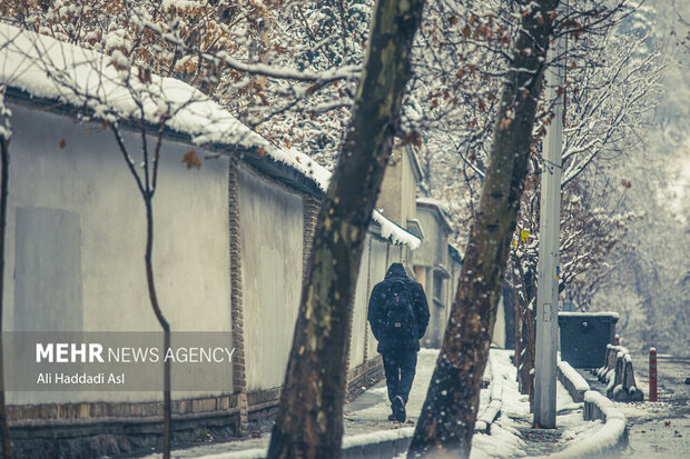 با فرا رسیدن فصل زمستان و کاهش چشم گیر دما، شهر تهران در اکثر نقاط شاهد بارش برف و سفید پوش شد