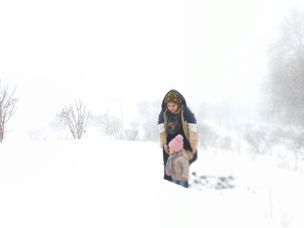 خانهداری خانه نشینی نیست