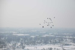 High air pollution in Qazvin