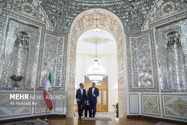 ایرانی وزیر خارجہ سے سیاسی رہنماؤں ملاقات
