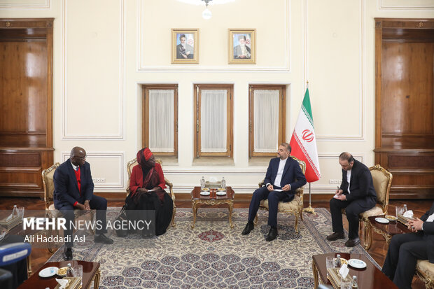 ایرانی وزیر خارجہ سے سیاسی رہنماؤں ملاقات
